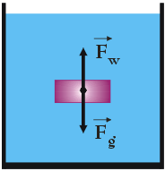 diagram sił działających na ciało zanurzone w wodzie - rysunek schematyczny - siła wyporu, prawo Archimedesa