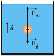 diagram sił działających na kulkę - rysunek schematyczny - prawo Archimedesa - zadanie nr 5