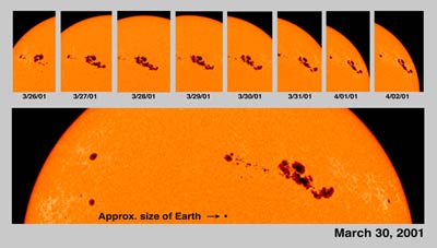 plamy słoneczne zarejestrowane przez obserwatorium SOHO